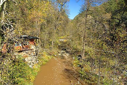 Forest Houses, November 2015